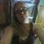 Crystal Hope Haynes's profile image
