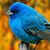 Billi Farrell's profile image