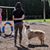 Shelby Grae Ward's profile image