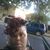 Brianita Jones's profile image