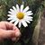 Yesenia Aguilar's profile image