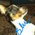 Neal Nelson's profile image