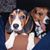 John Bruer Holton Sr.'s profile image