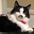 Kristy Nunn LaRue's profile image
