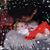 Racheal Murray's profile image