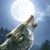 Bill Evans's profile image
