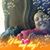 Jennifer M Vick's profile image