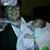 Darlene Daniel's profile image