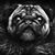 Morgan Mercer's profile image
