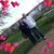 Lori Marie Larson's profile image