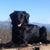 Lynn Turner's profile image
