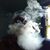 Brian Thomas's profile image