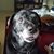 Lori Norris Yackoski's profile image