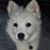 Becca Fulmer's profile image