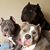 Angie Sappington's profile image