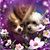 Lisa Robert's profile image