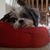 Gena Davis Lampo's profile image