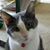 Kathy Marion's profile image