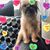 Jenn Lek's profile image