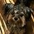 Brandy Ewing Alderman's profile image