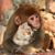 Ellen Stauber's profile image