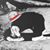 Marvi Jones II's profile image