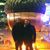 John W. Horner's profile image