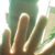 Daniel W Shackley's profile image