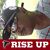David King Pierce's profile image