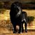 Francisco Lopez Anaya's profile image