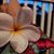 Crystal Hottell's profile image