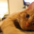 Luvlee's profile image