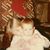 Melanie Lindquist's profile image