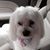 Cathey Holbrook Drye's profile image
