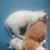 Karen Kane's profile image