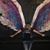 Dawn Branham Sauvageau's profile image