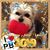 Susie Dowdy's profile image
