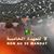Betayeb Djamel's profile image