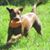 Ian Clements's profile image