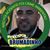 Alessandro Gomes's profile image