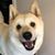 Pamela Creamer's profile image