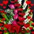 Floresita Porta's profile image