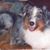 Melanie M Payne's profile image