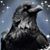Zoralee Tucker's profile image