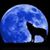 Dave Bowen Nicol's profile image