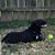 Peggy Green Baugus's profile image