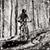 Amy Lynn Vess's profile image