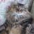 Linda Kosel Miller's profile image
