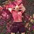 Timothy Lee's profile image