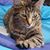 Willow Robinson's profile image